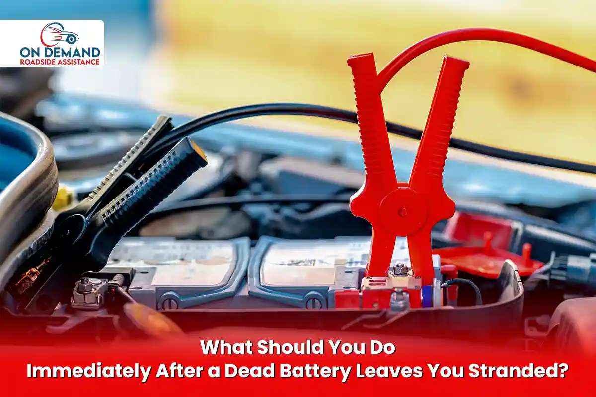 What Should You Do Immediately After a Dead Battery Leaves You Stranded?